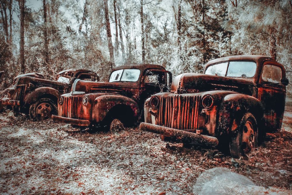 Three rusty vintage trucks abandoned in forest setting.