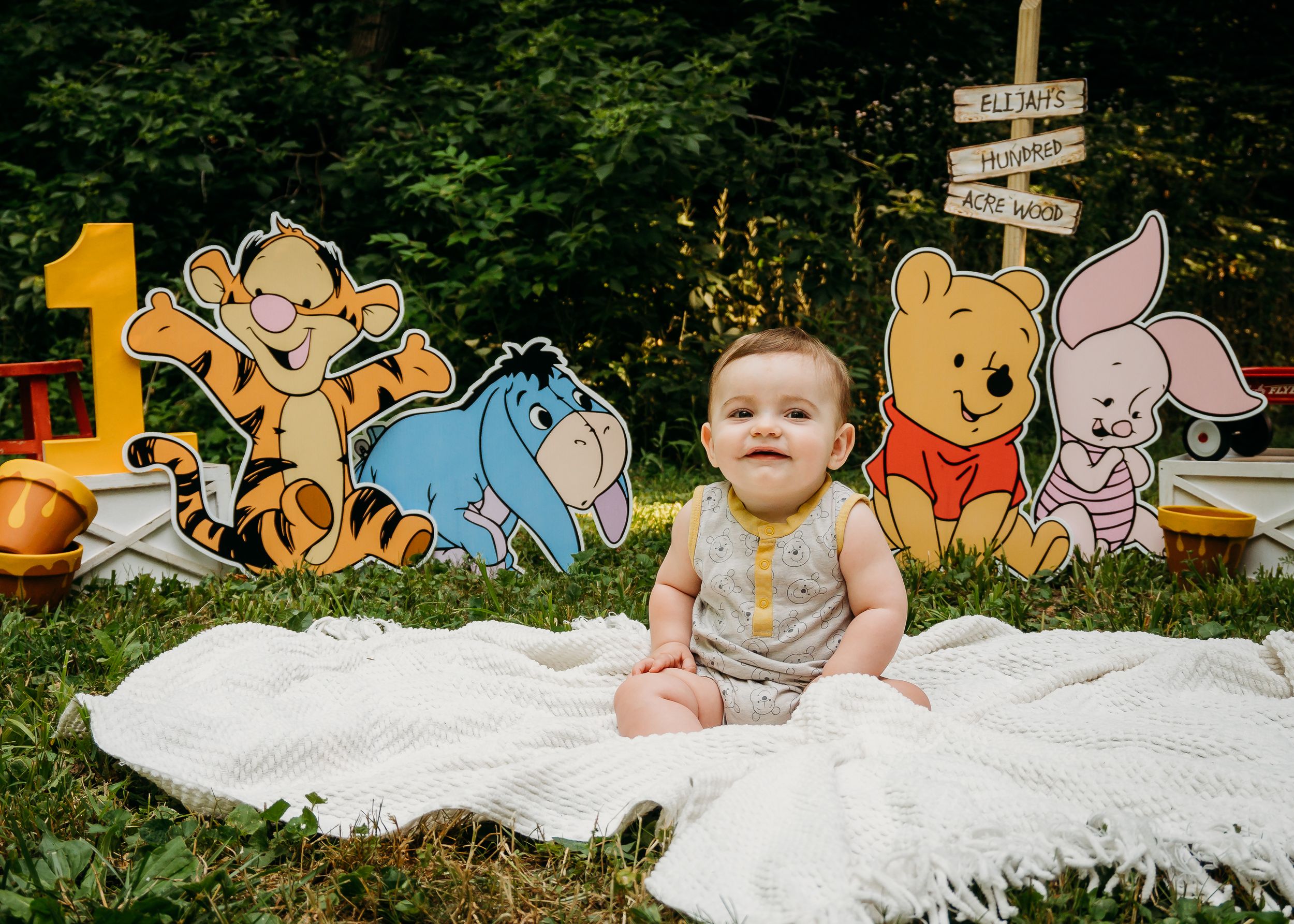 one year milestone photography session