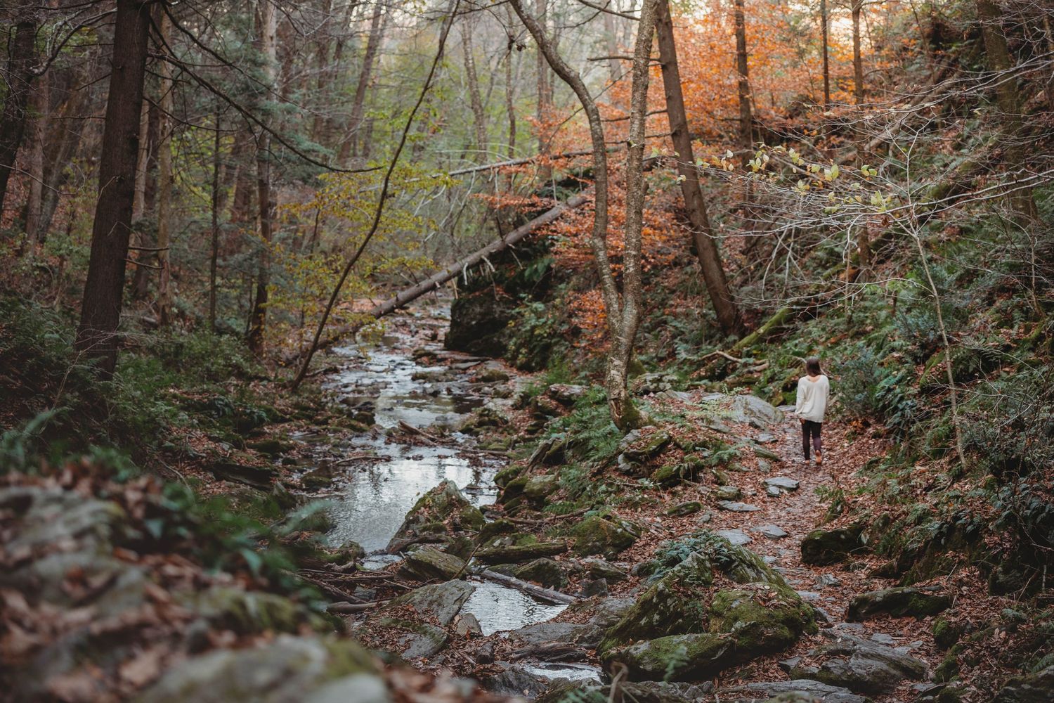 dover stone church yoga hike