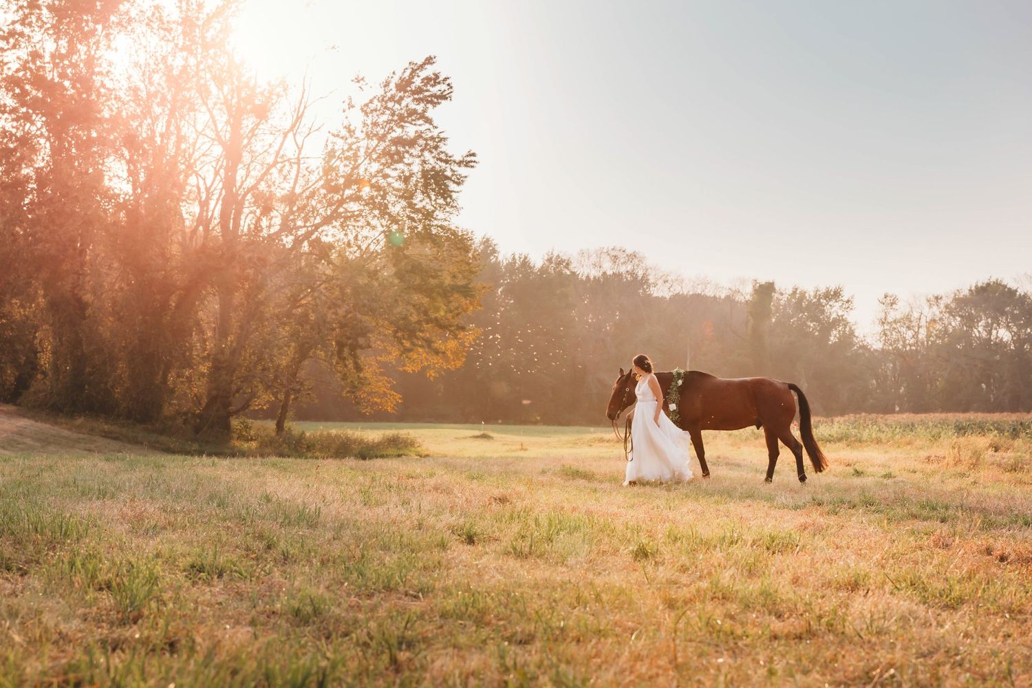 bride wreck the dress horse equine session in glastonbury ct