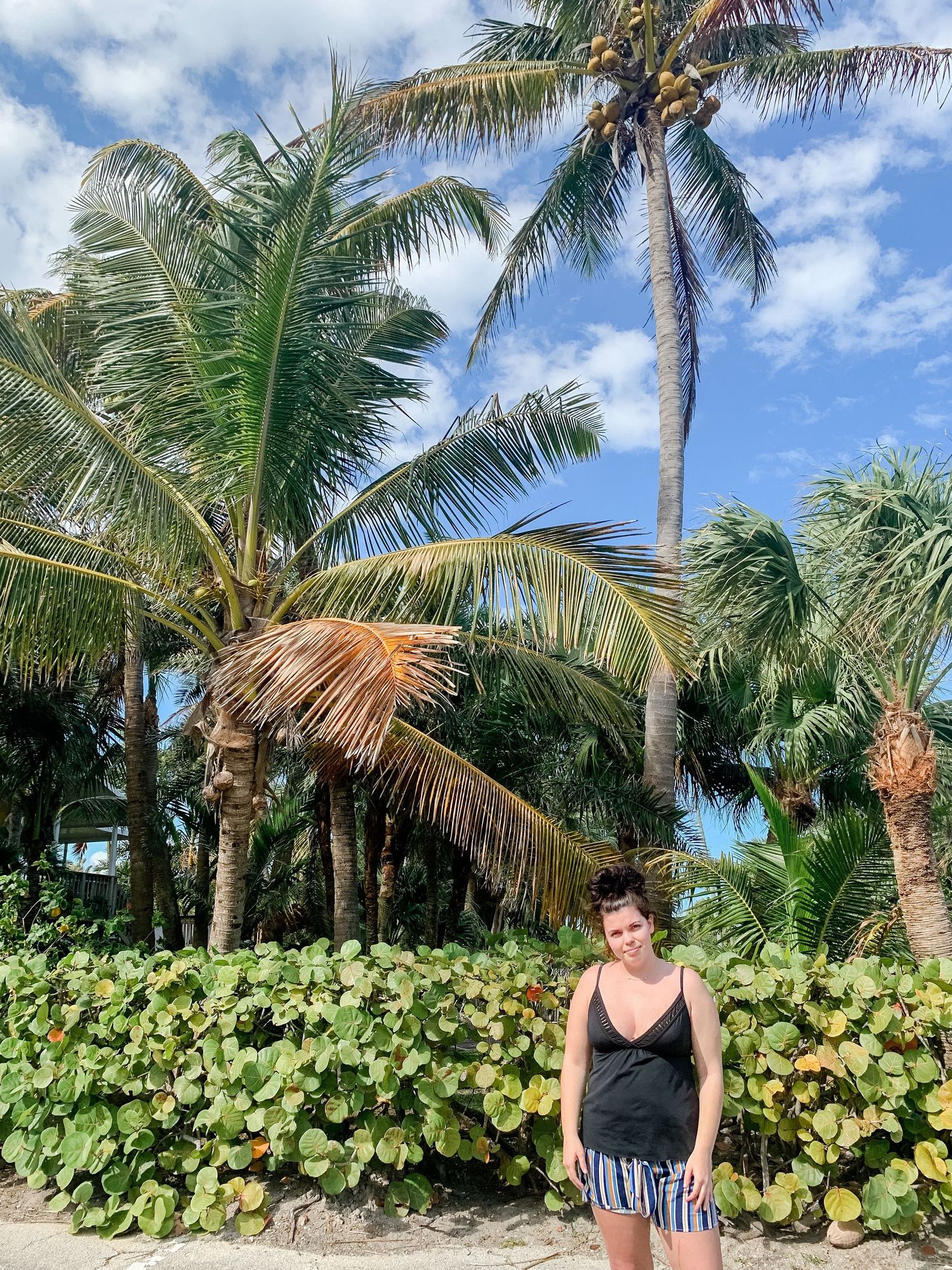 Tropical beach landscape with lush palm trees and coastal vegetation.