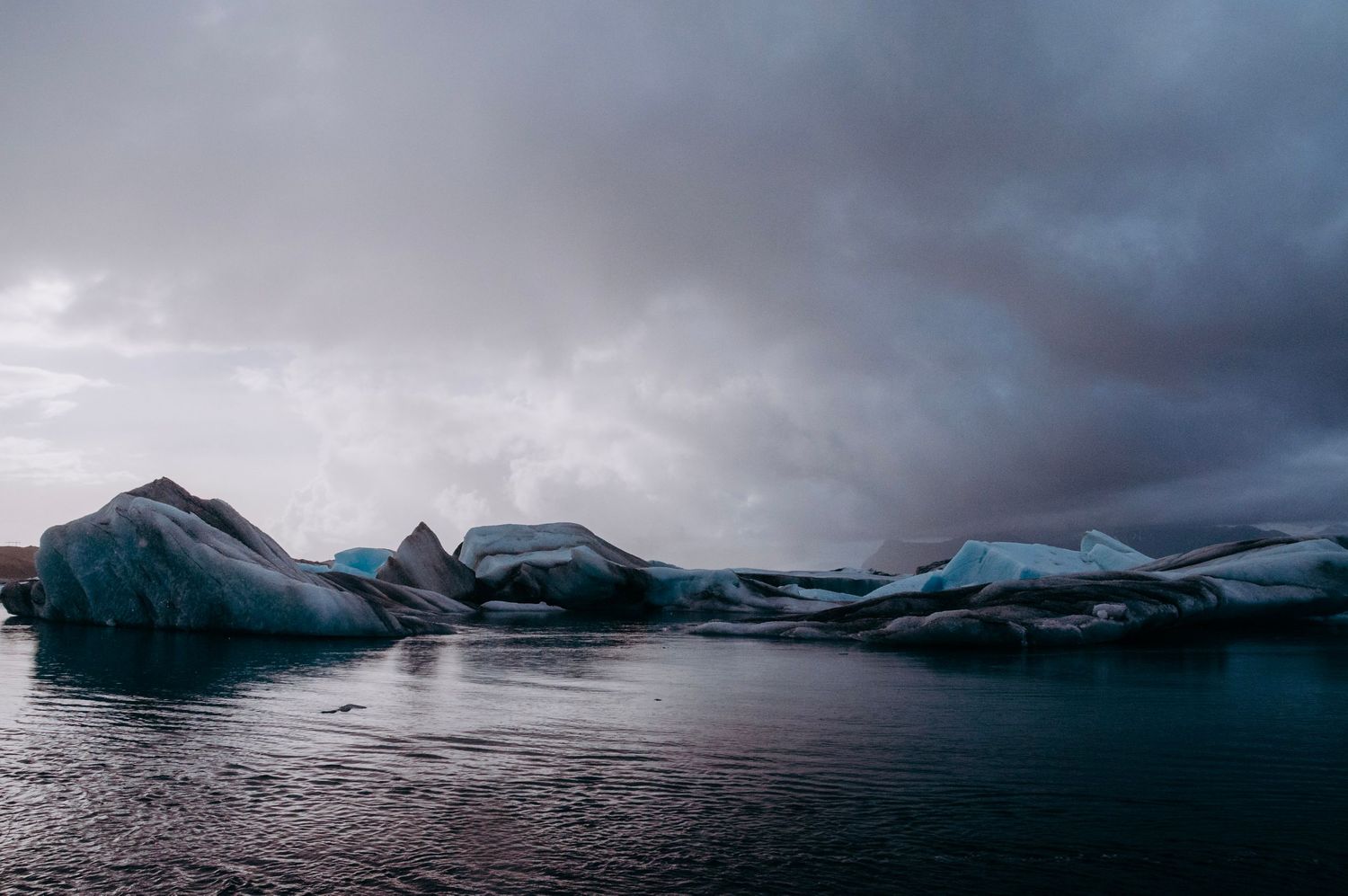 Melting glacier icebergs in Jokulsarlon Iceland surrounded by water.