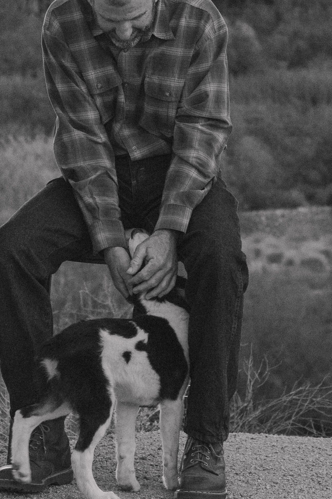 A person wearing a flannel shirt sits with a black and white cat on a rocky surface.