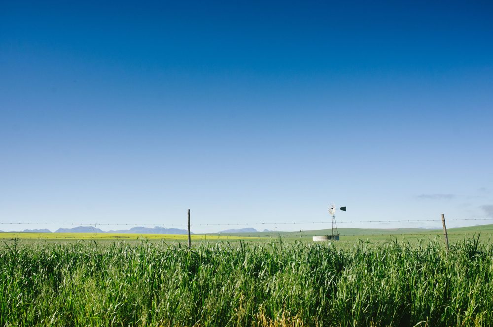 riebeek  kasteel landscape photographer