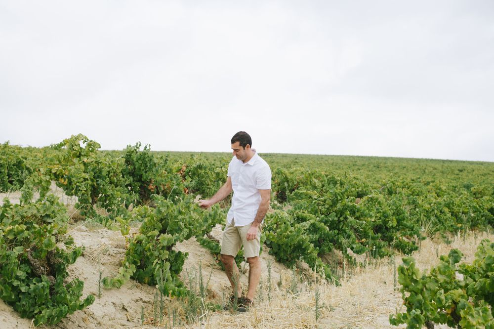winemaker portrait photography