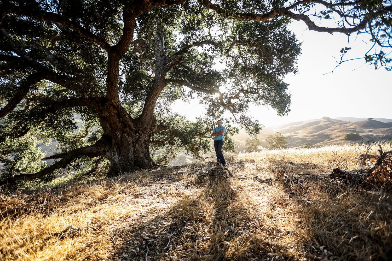 Johnson Loop Trail San Luis Obispo