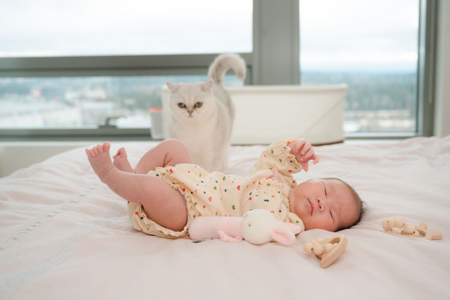 Seattle & Bellevue Newborn & Family Photographer, newborn ,redmond, mercer island, issaquah, sammamish, bothell, eastside,
