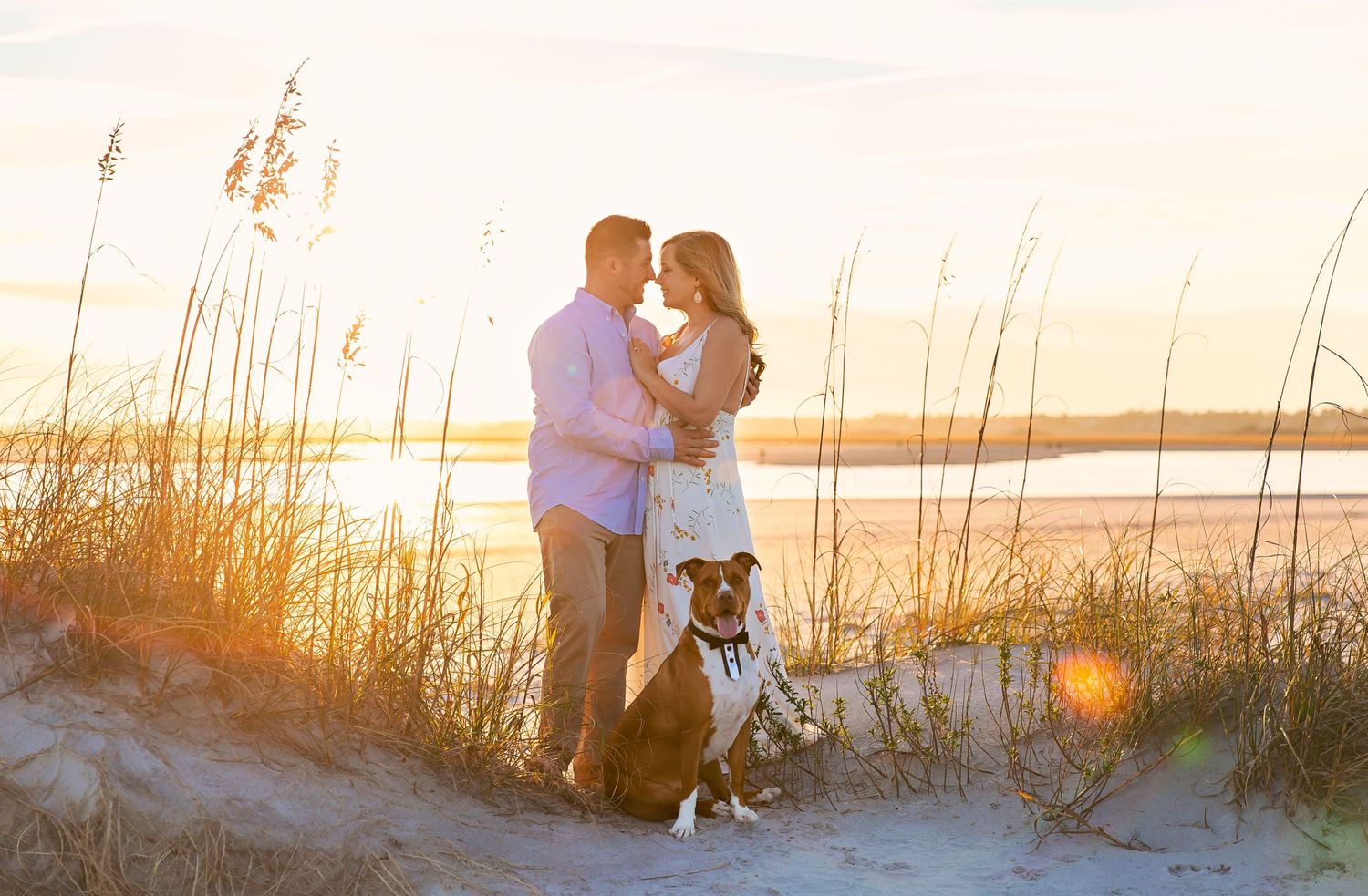 Couple with dog sharing intimate moment at beach during golden sunset with sea oats in foreground.