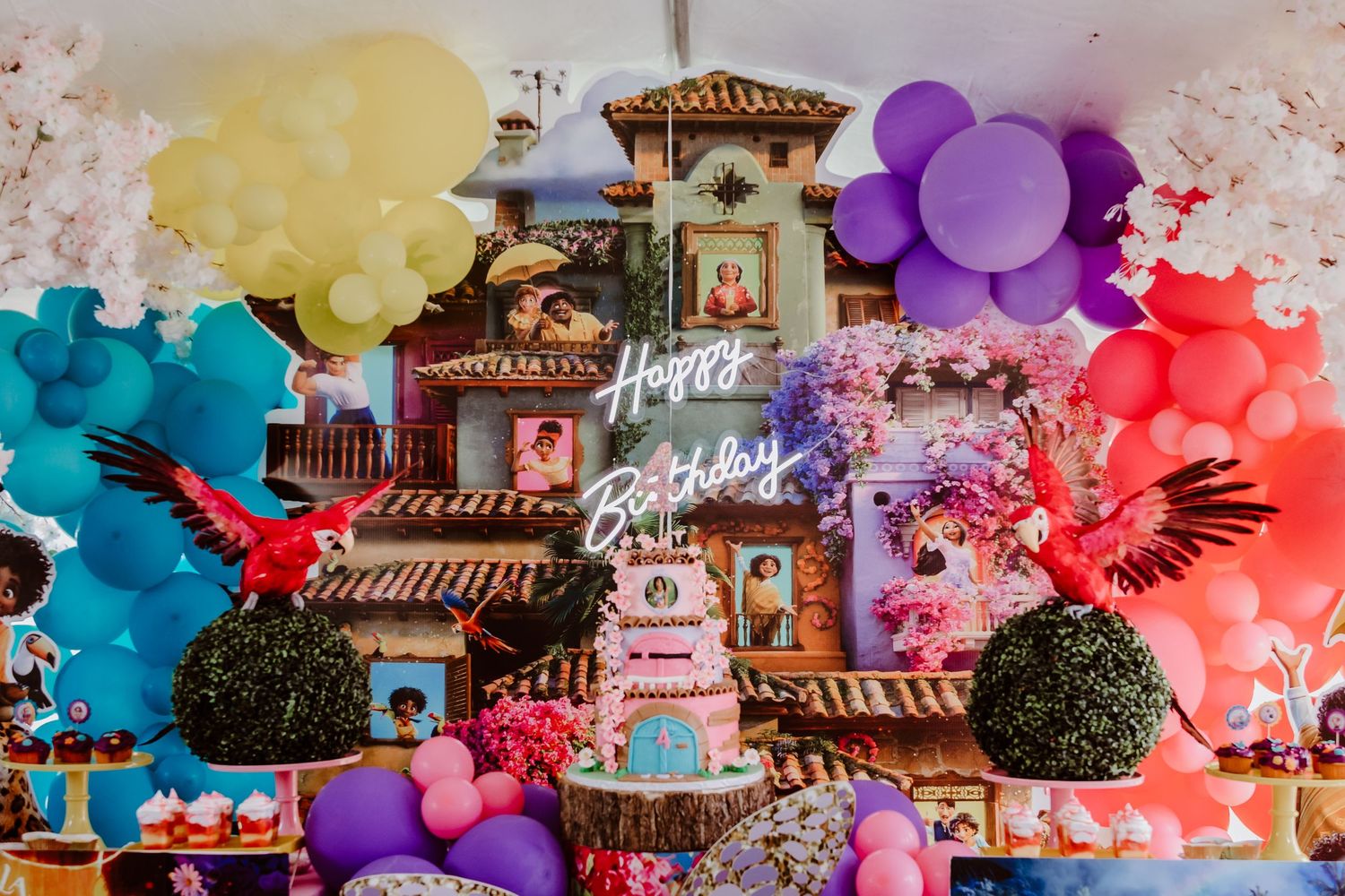 social event photography