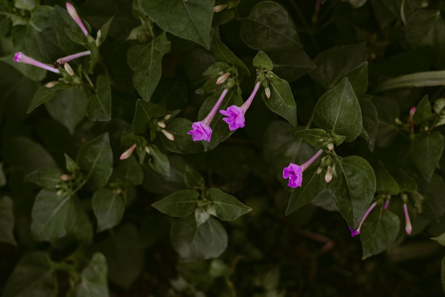 Katy Montoya Photography - Kenedy, Texas Photographer - Corpus Christi, Texas - San Antonio, Texas Photographer
