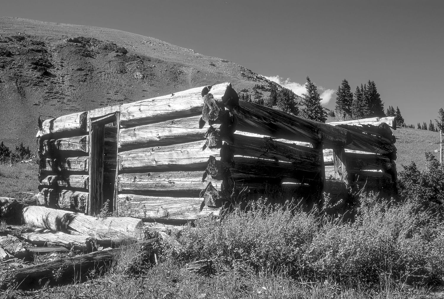 Cree's Camp, Colorado
