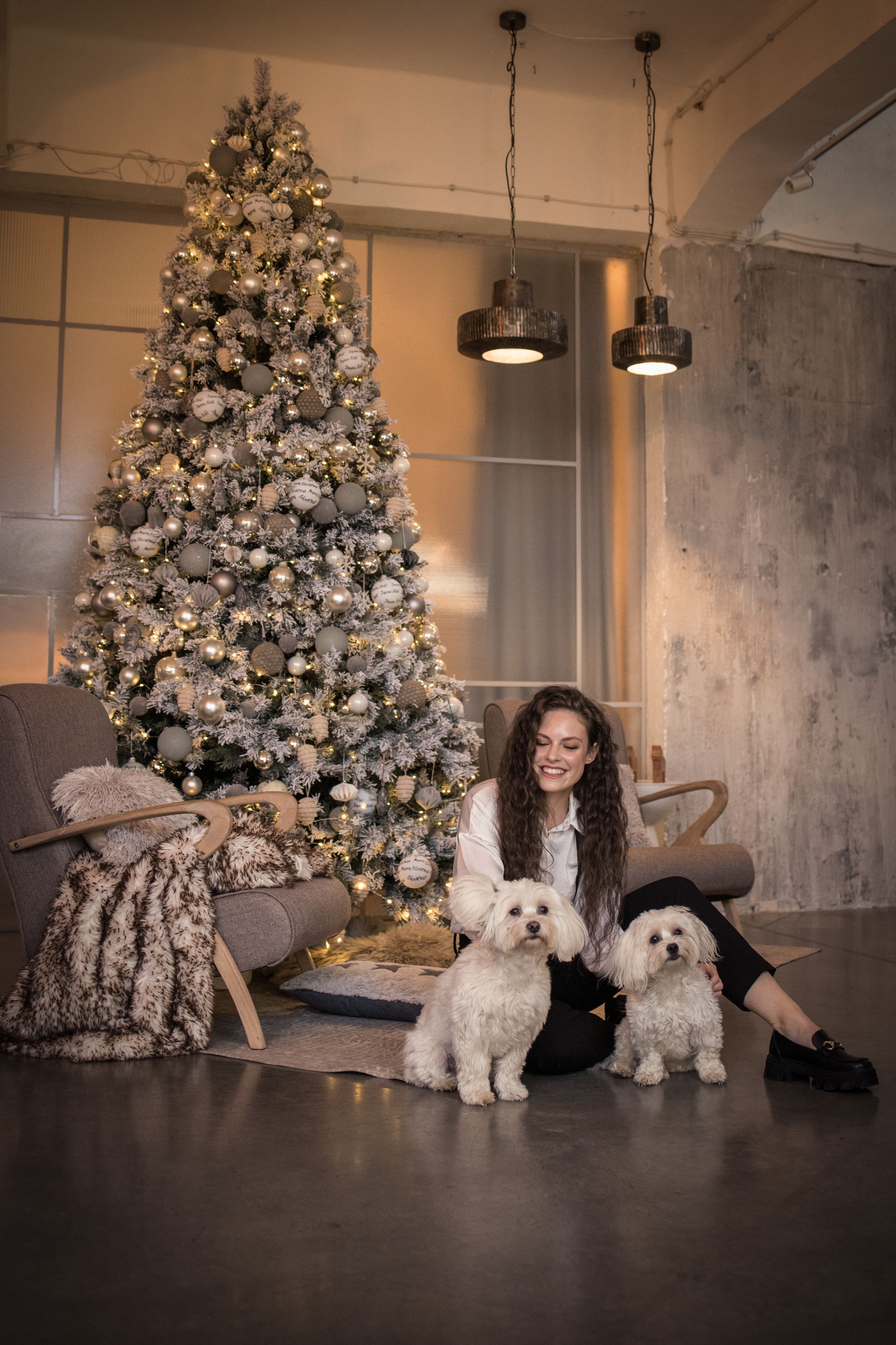 dog photo kutyafoto kisallatfoto gbr gbrfoto Ndustrial studio