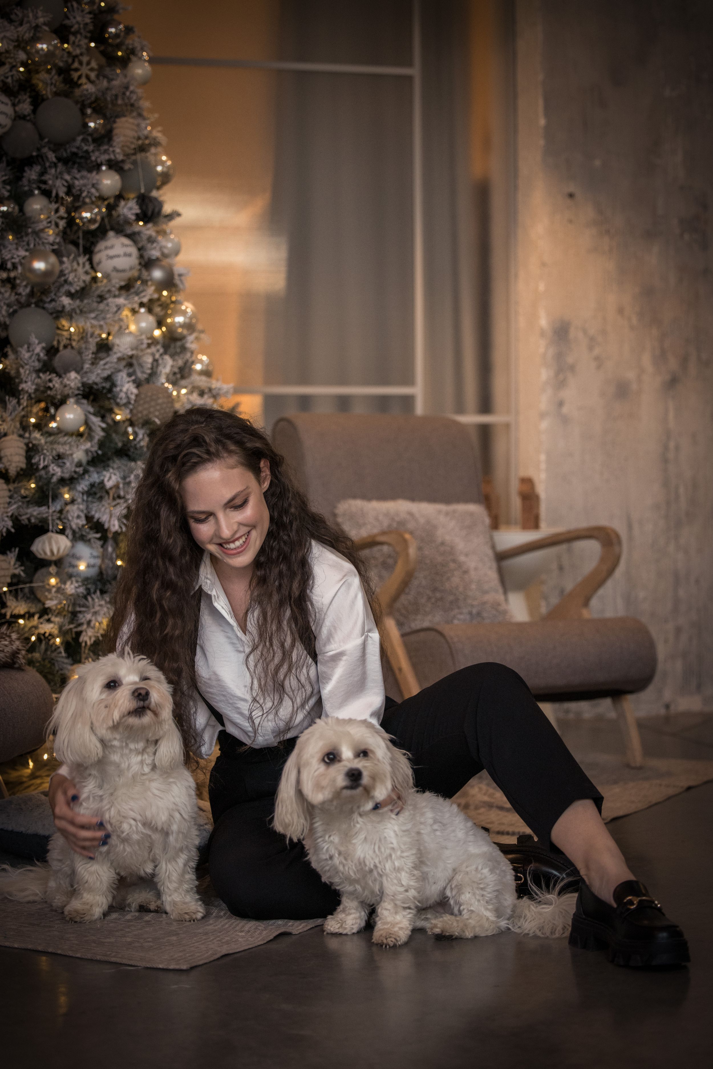 dog photo kutyafoto kisallatfoto gbr gbrfoto Ndustrial studio