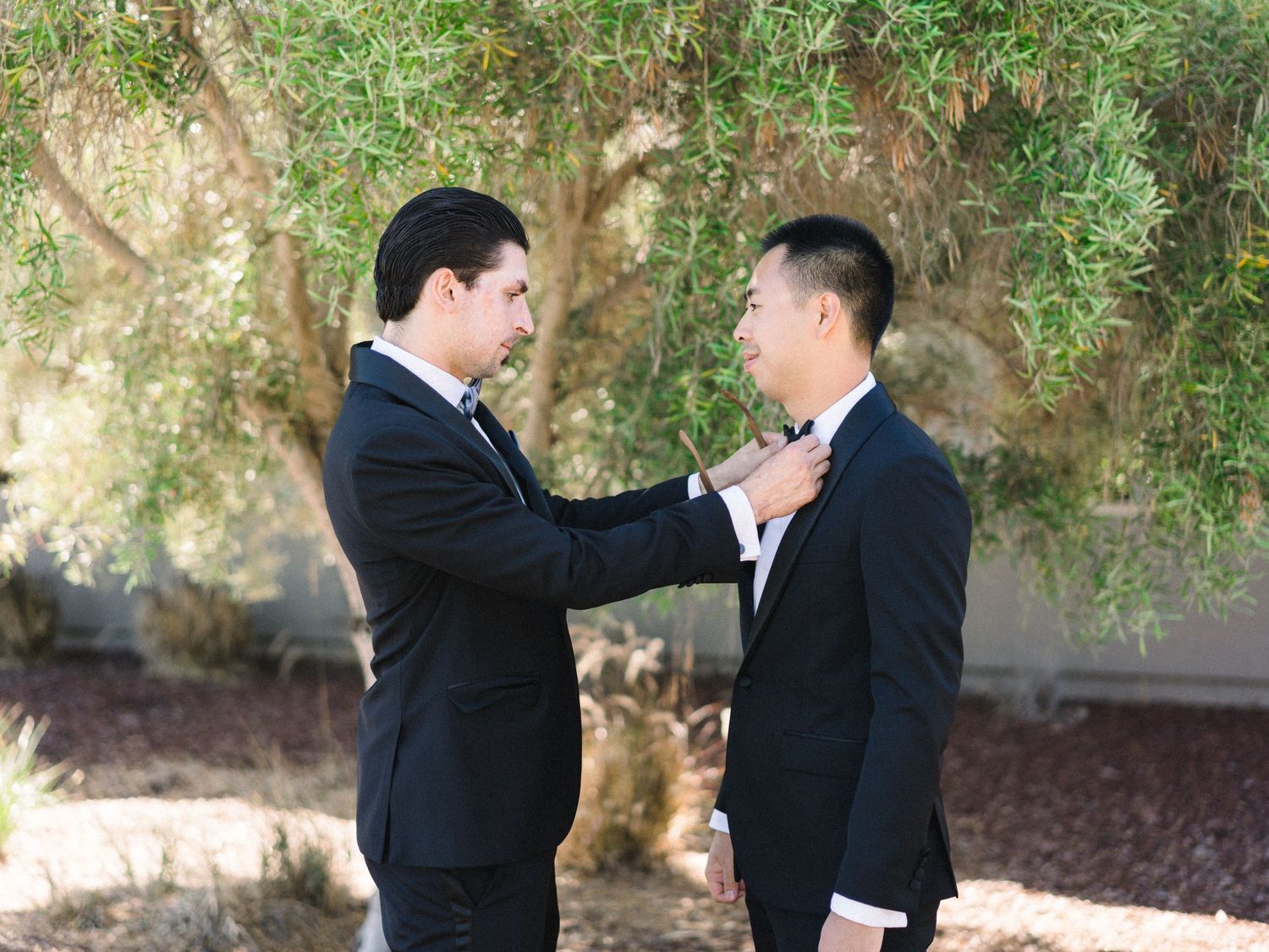 Two men in tuxedos share a moment adjusting bowties under a tree.
