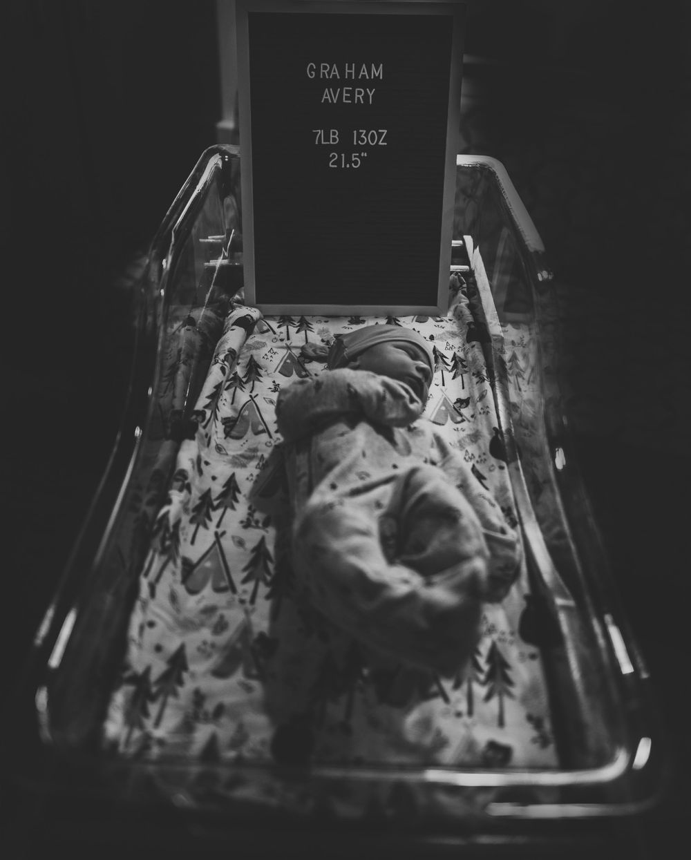 Springfield Missouri Newborn Photographer