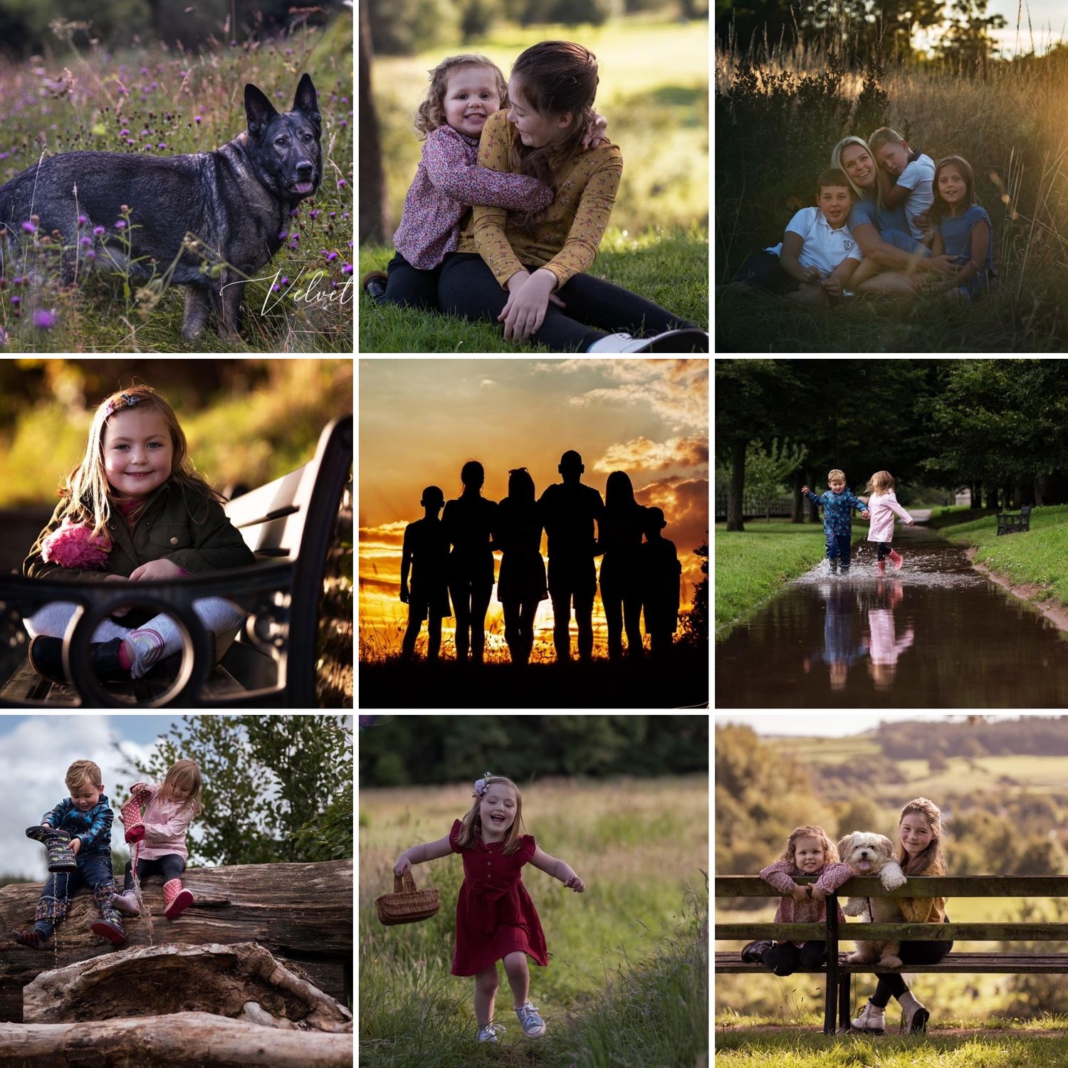 Collection of outdoor family photos taken during golden hour with natural scenery.