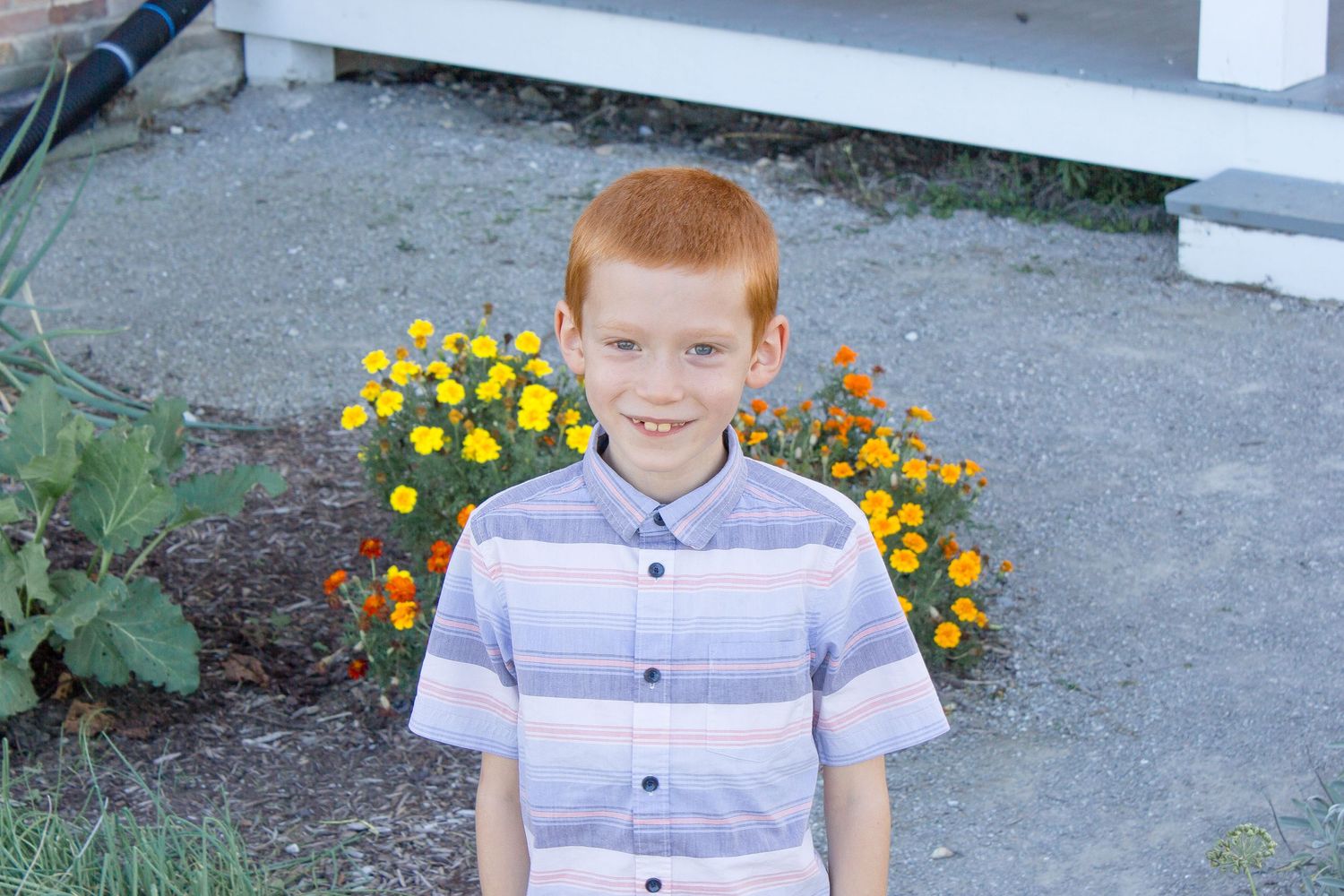 Child family photography Towne Park Foristell Cindee Miller Give It A Shot Photography St. Louis family photographer
