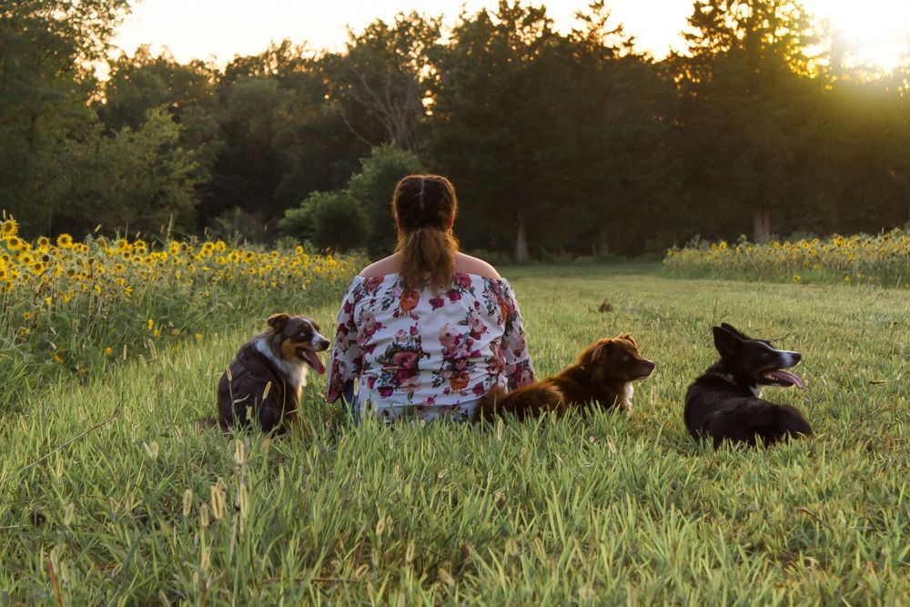 Dog mom pet family fall sunflower field pictures Cindee Miller Give It A Shot Photography St. Louis family photographer