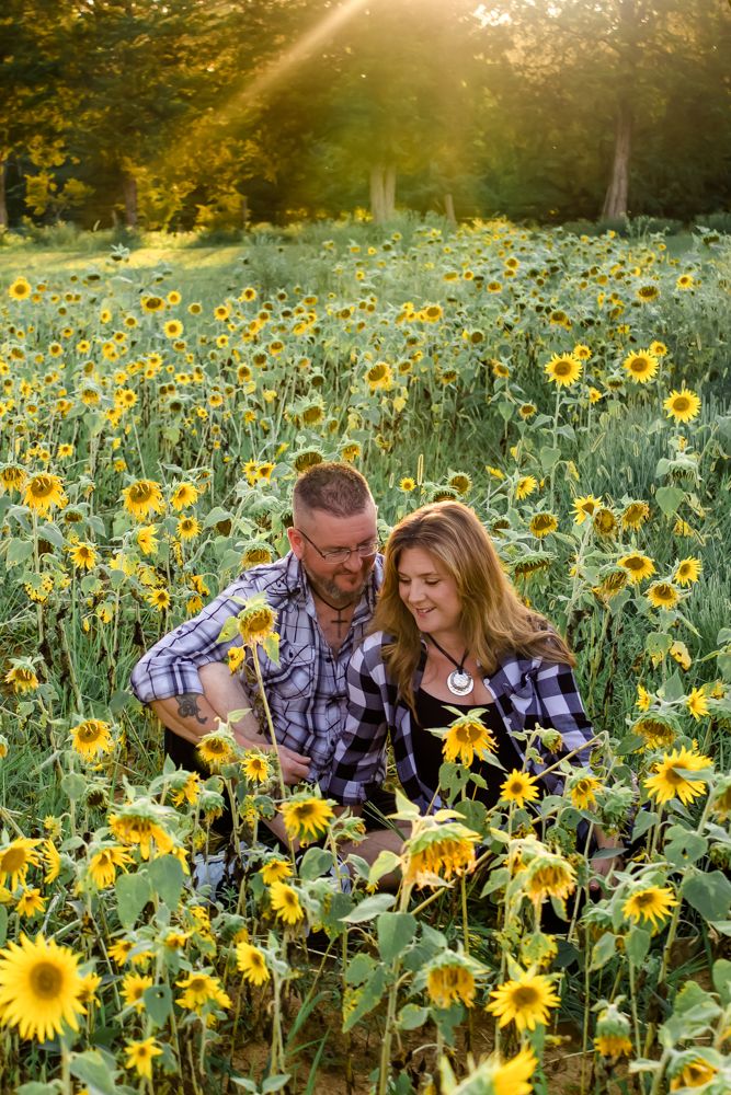 Couple fall sunflower field pictures Cindee Miller Give It A Shot Photography St. Louis O'Fallon MO family photographer