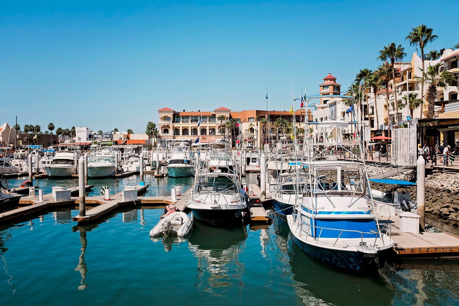 Boats line the marina.