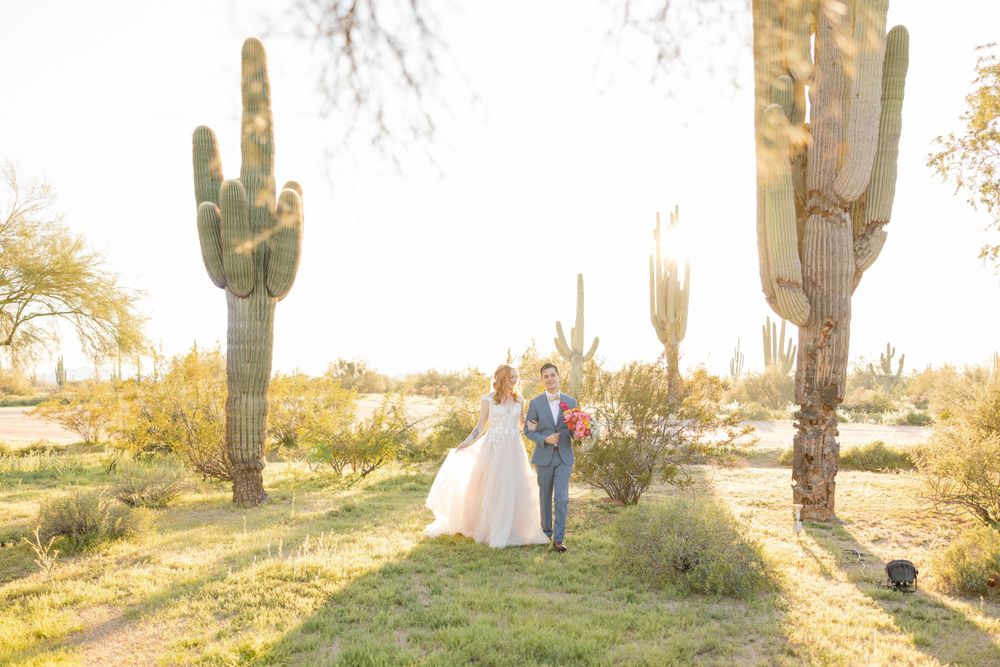 Wedding couple photographed among majestic saguaro cacti in Arizona desert during golden hour.