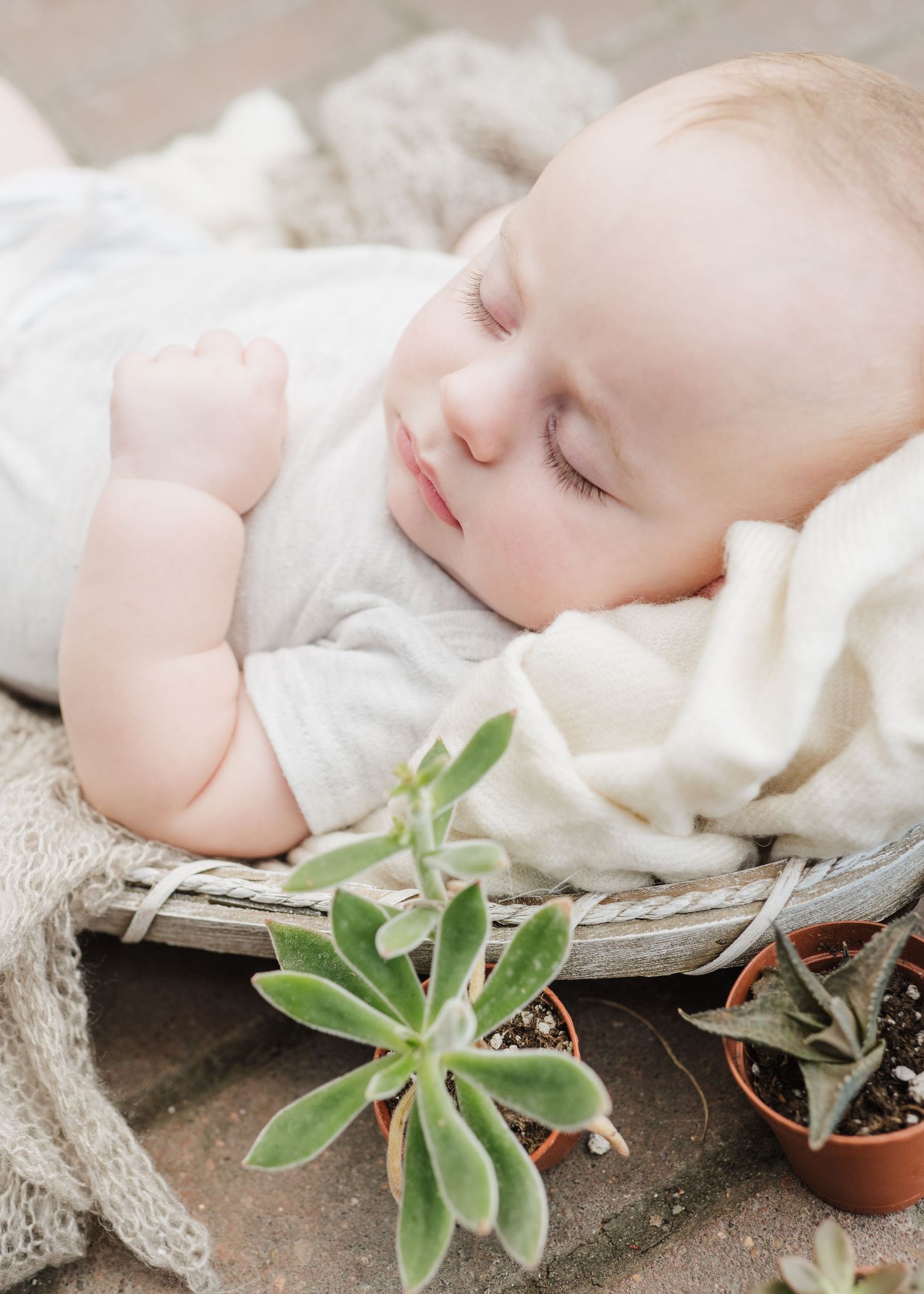 six month old taking photos at a greenhouse with succulents in natural light