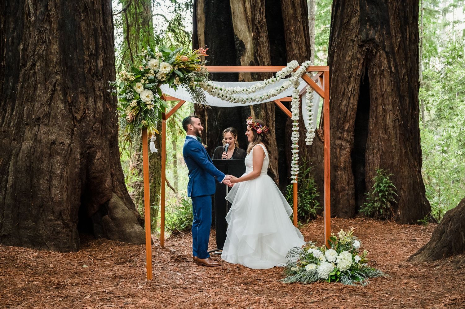 A ceremony arch decorated with white fabric and florals stands between giant redwood trees.