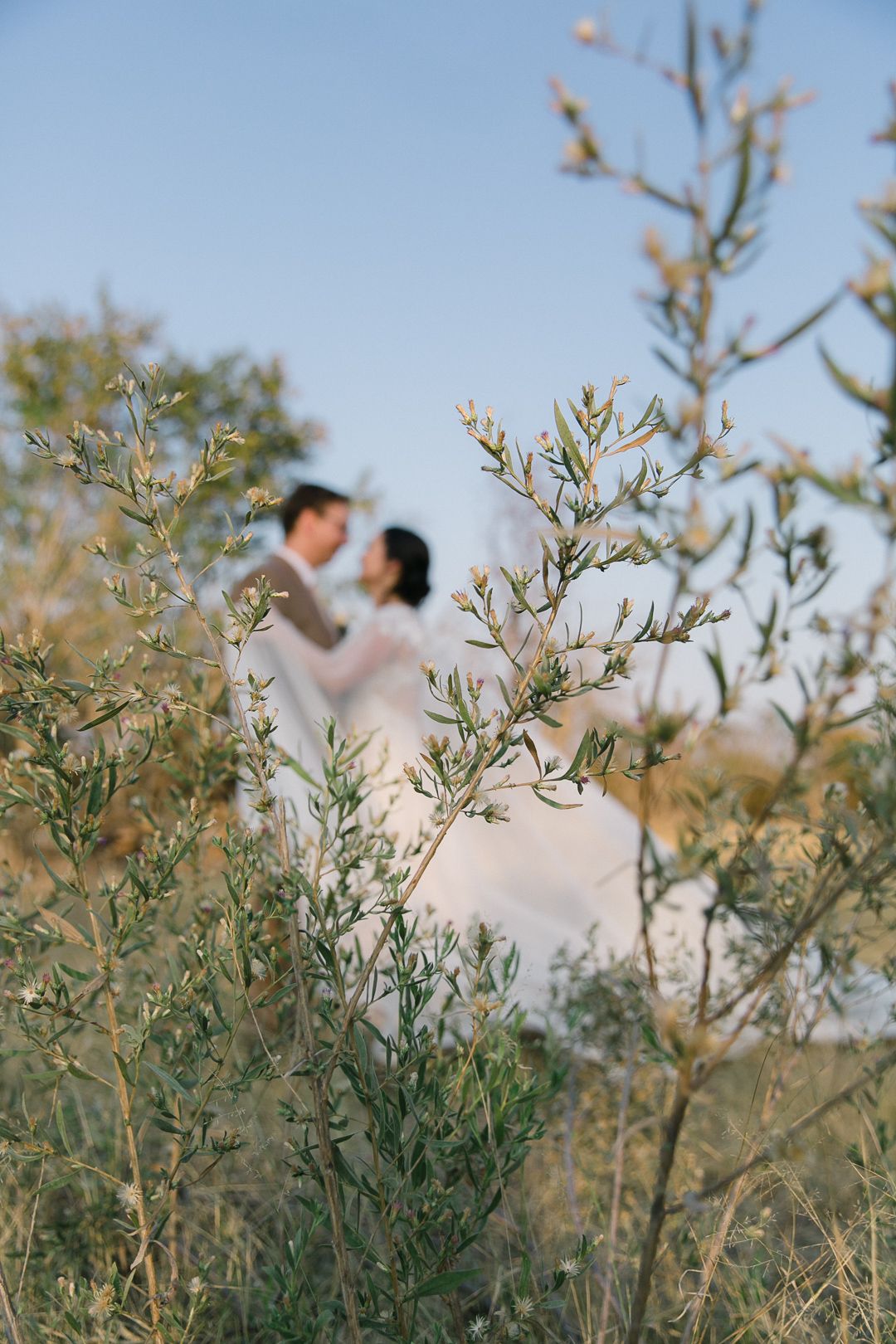A couple standing in the bushveld of South Africa.