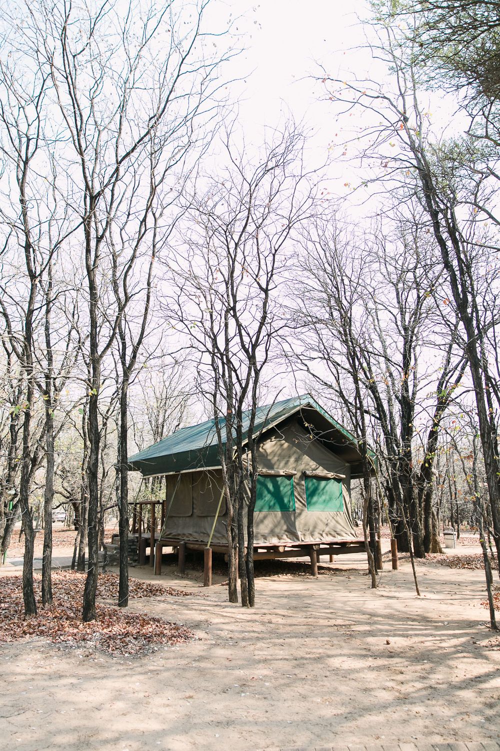 A tent hidden amongst the trees in Letaba Rest camp.
