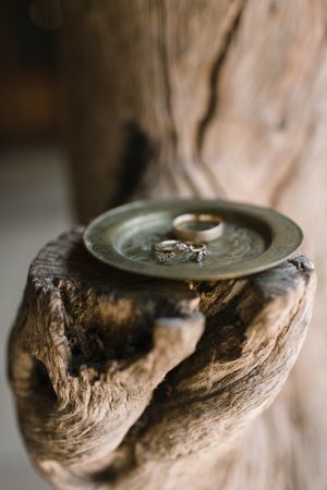 A bride and groom's wedding rings for thier Kruger Park wedding.