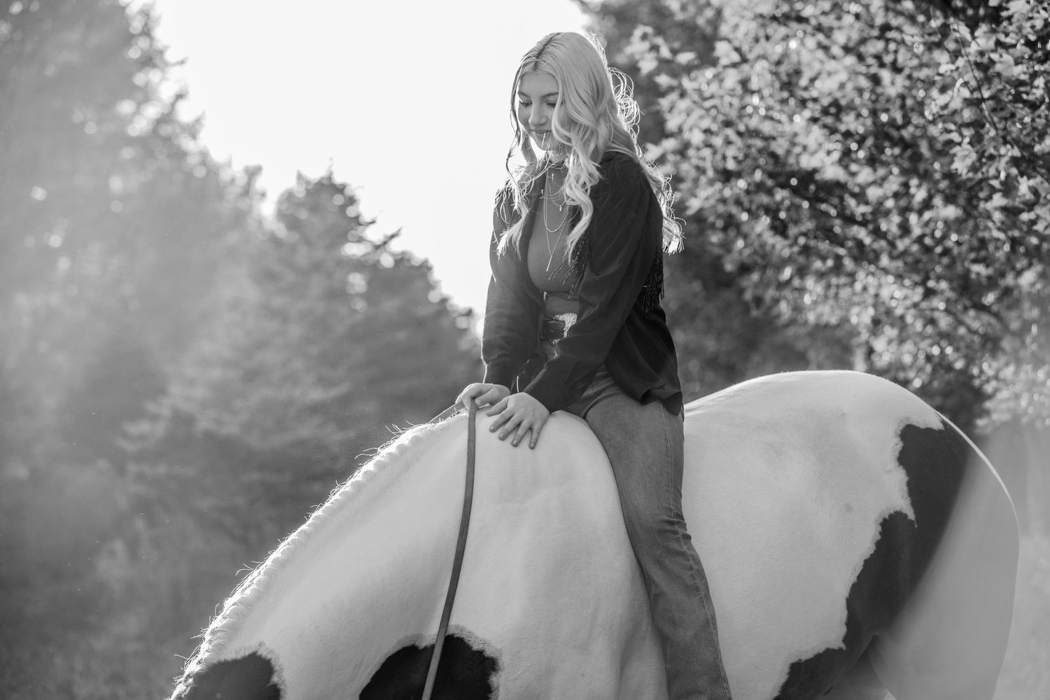 Senior riding horse black and white