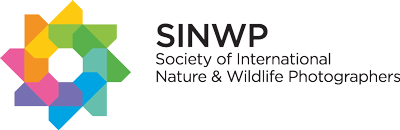 SINWP Society of International Nature & Wildlife Photographers logo with colorful geometric elements.