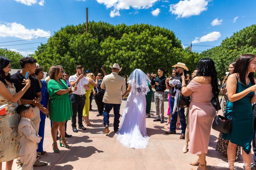 Wedding guests gather outdoors under bright blue skies for celebration photos.