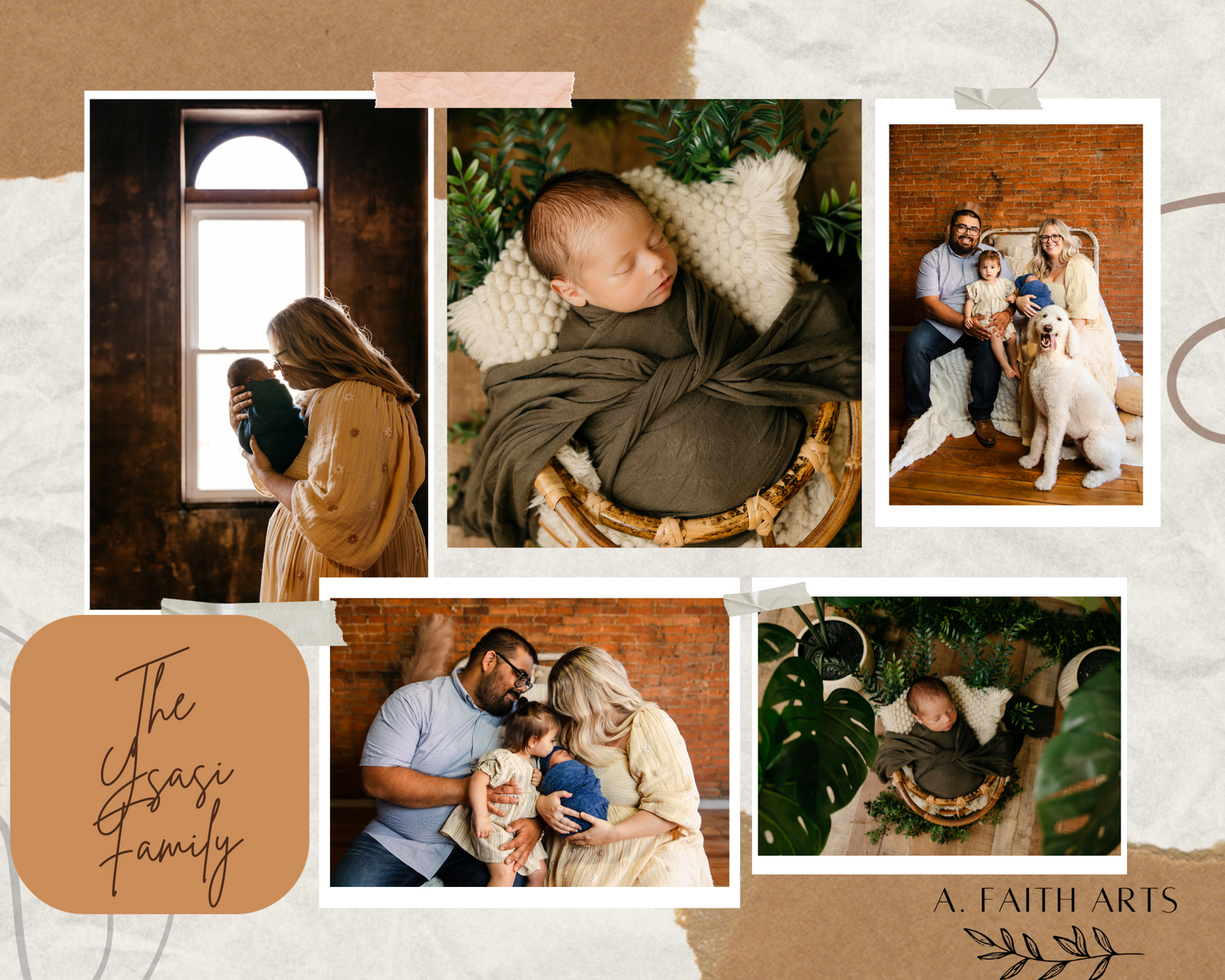 Ohio Photographer, Ohio Photography, Ohio Photos, Summer Photos, Family Photos, Newborn Photos