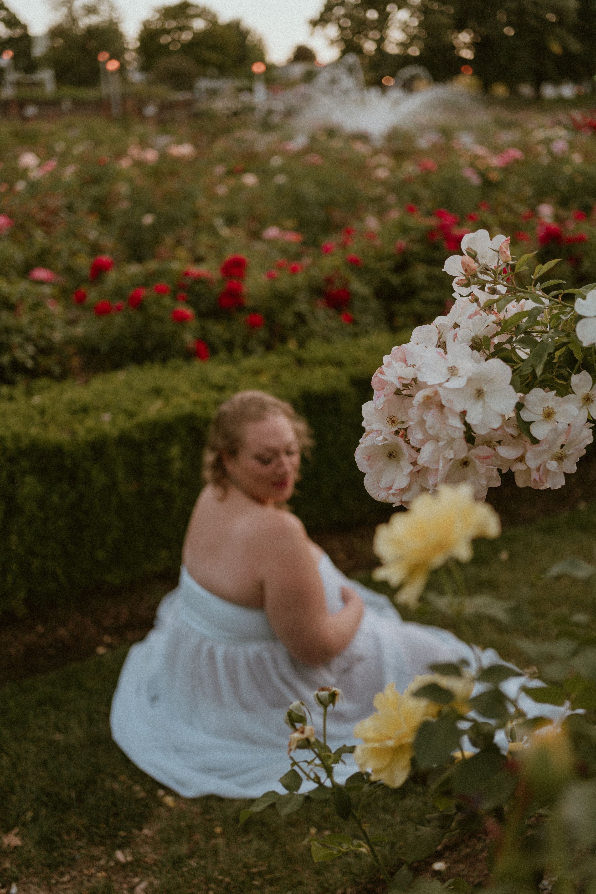 Artistic composition with white and red roses in a manicured garden setting.
