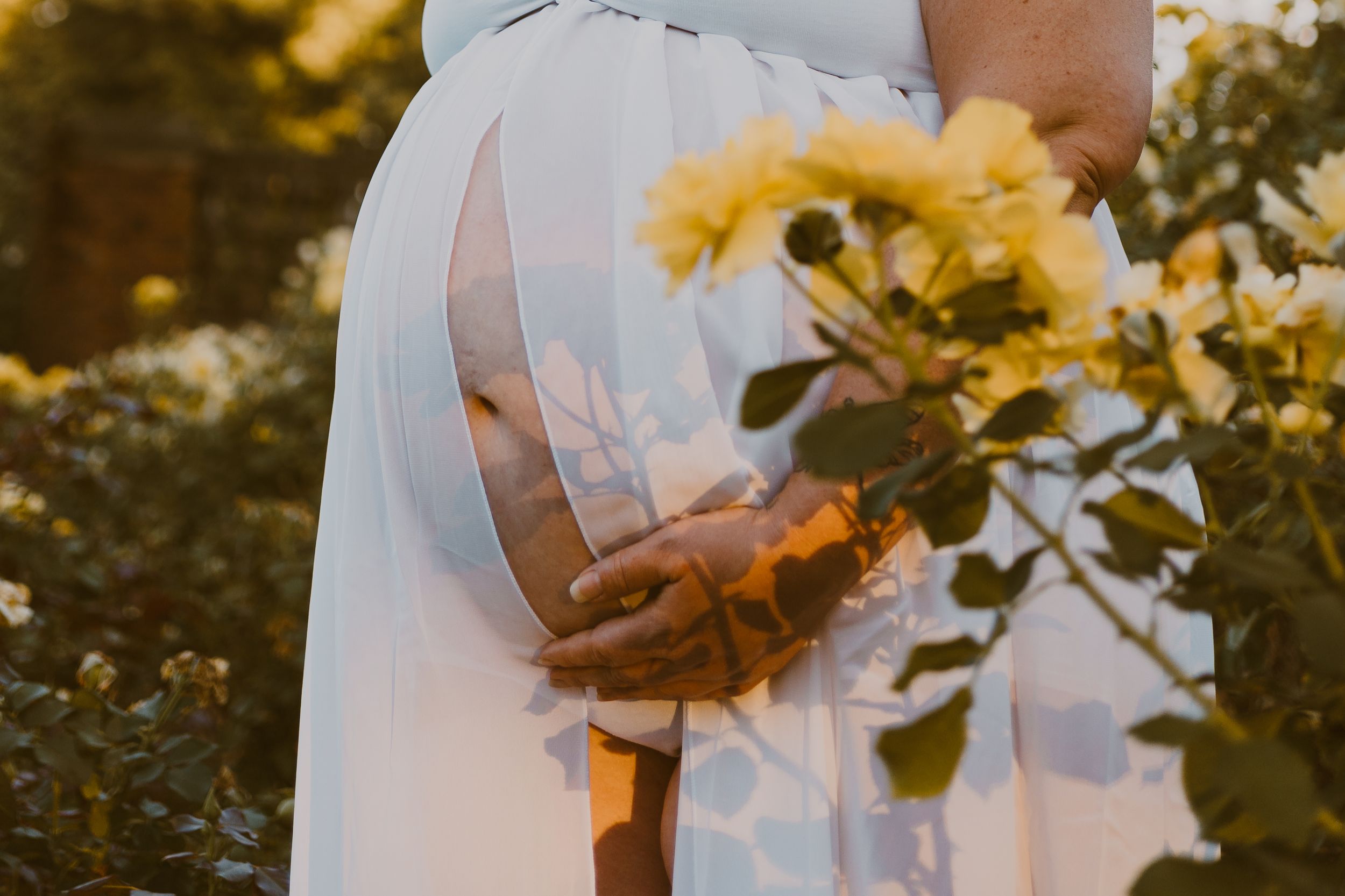 Intimate garden moment captured among sunlit flowers and greenery.
