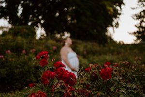 Vibrant red roses frame a serene garden scene at dusk.