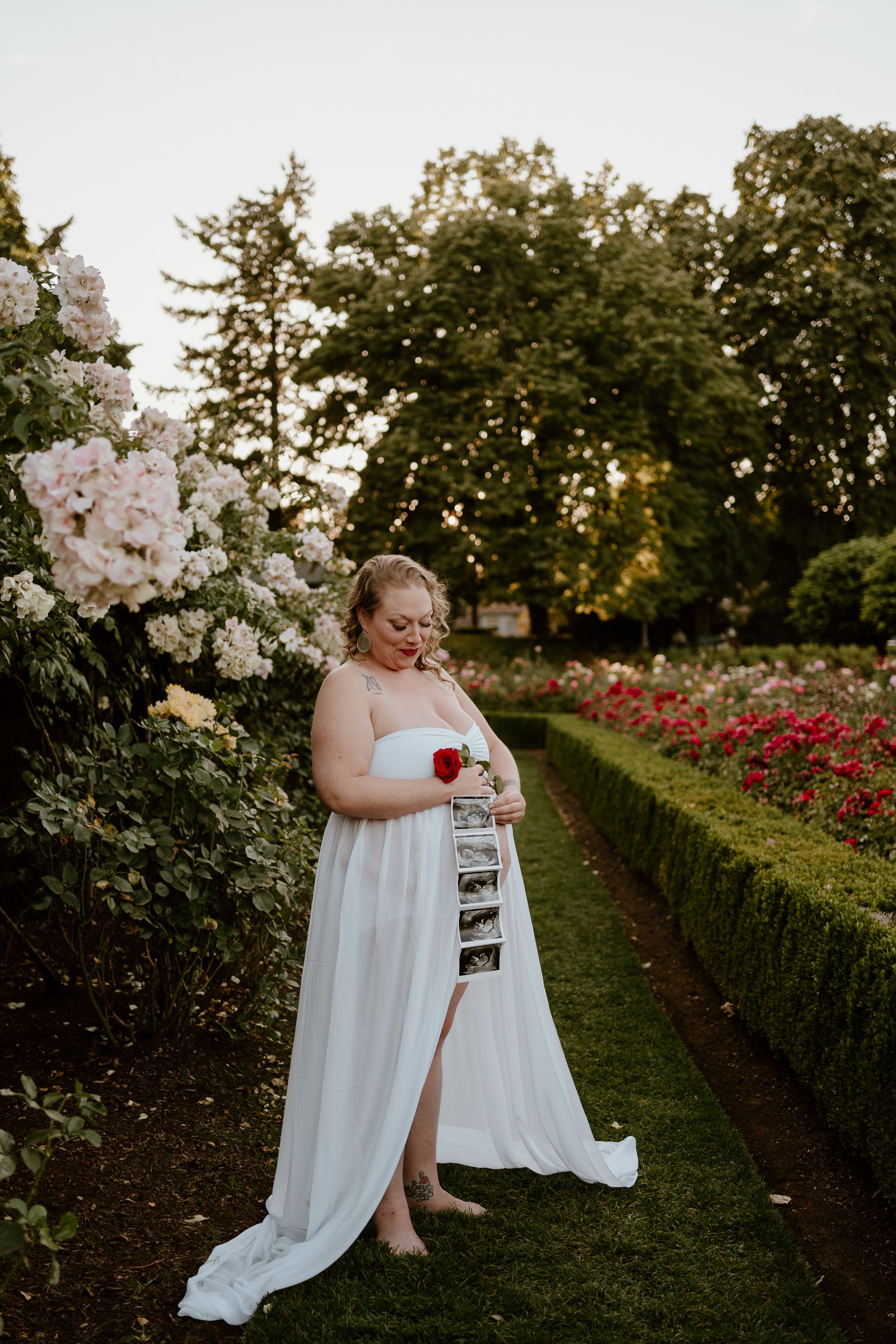 Artistic garden photography with flowing white fabric among red and white roses.
