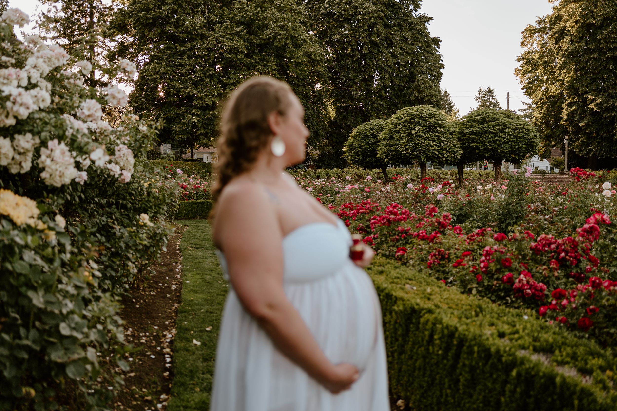 Two people share romantic moments in a garden with blooming red roses.