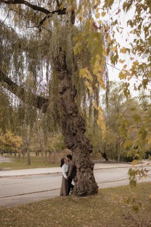 A couple embraces by a large willow tree in a peaceful autumn park setting.