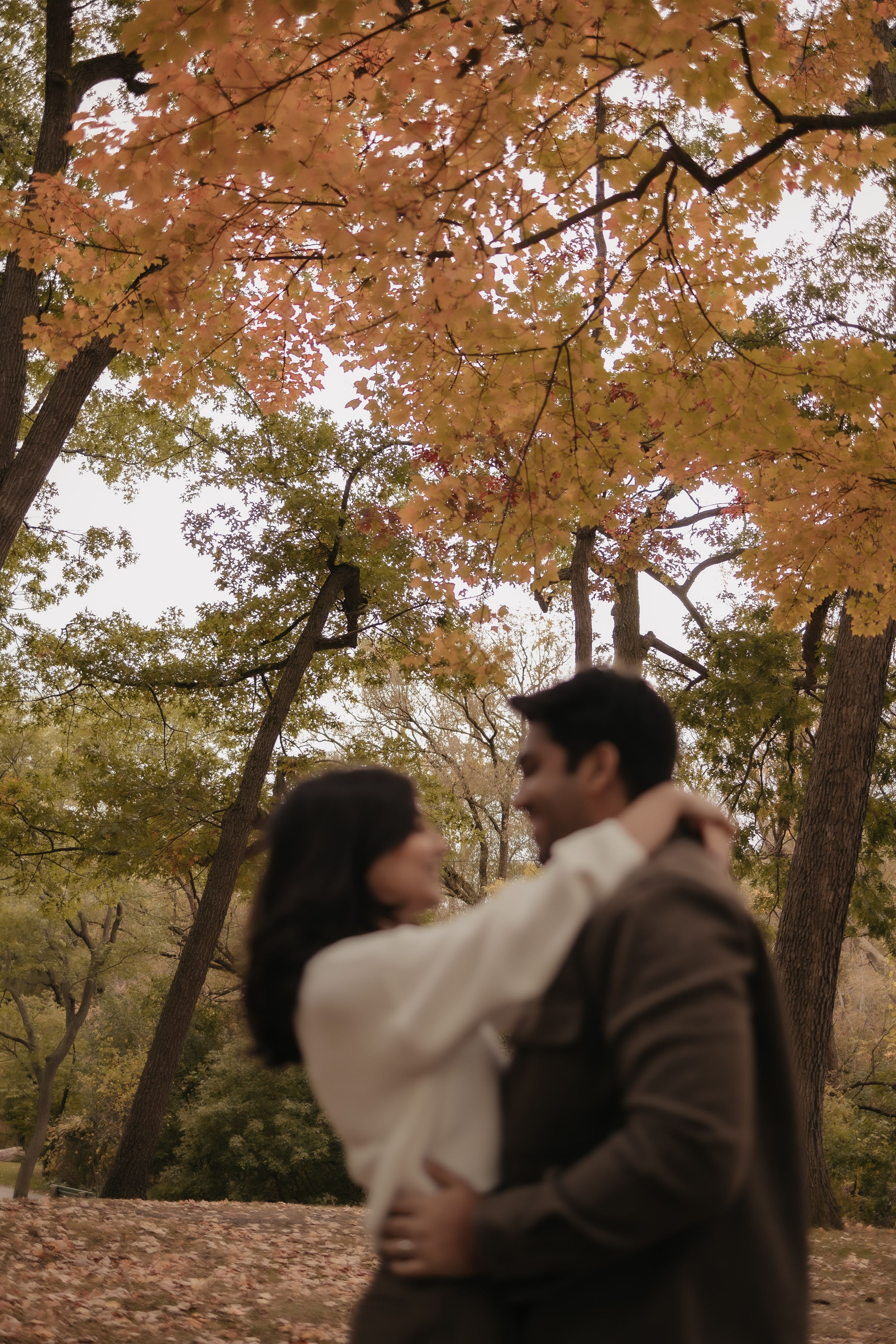 A romantic autumn moment captured under golden maple trees.