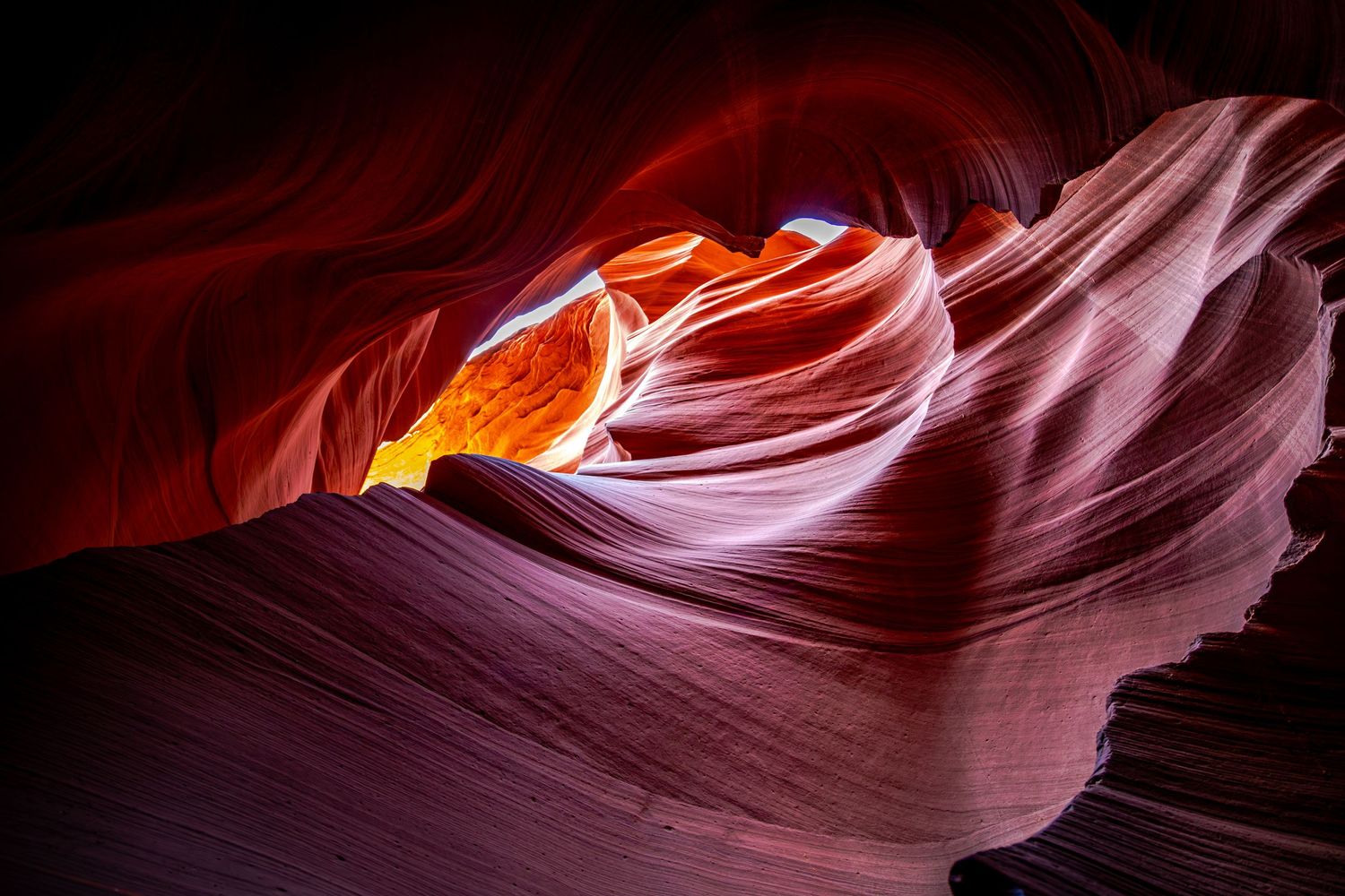 Sunbeam illuminates smooth curved walls of Antelope Canyon, creating vibrant orange and purple sandstone patterns.