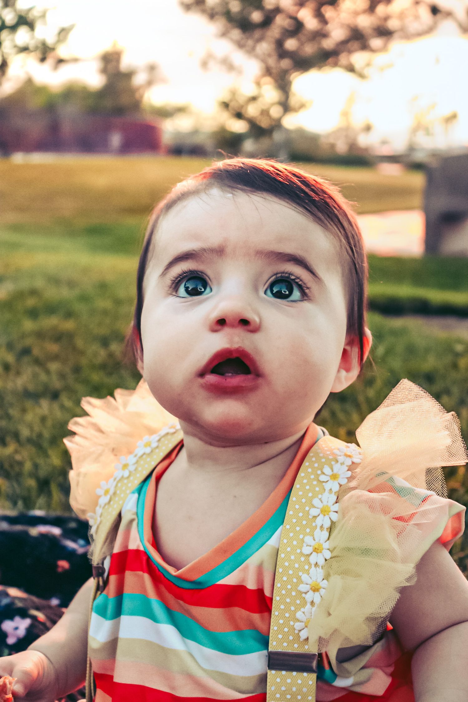 Las Vegas Nevada child milestone photographer and videographer. First birthday