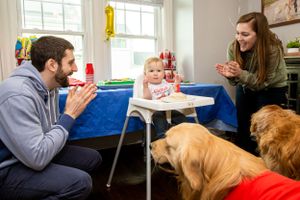 Family gathered around high chair during mealtime with golden retrievers nearby.