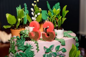 Birthday cake decorated with tropical leaves and the number 33 candles.
