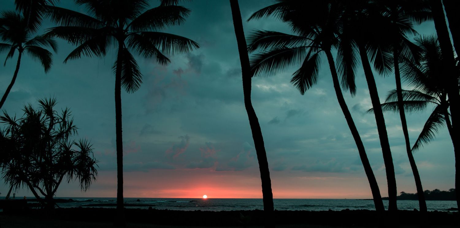 Silhouetted palm trees frame a vibrant sunset over a tropical beach.