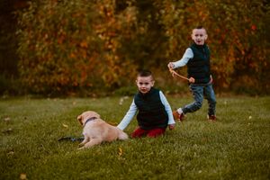 Two young children playing in grass with golden retriever puppy during autumn.