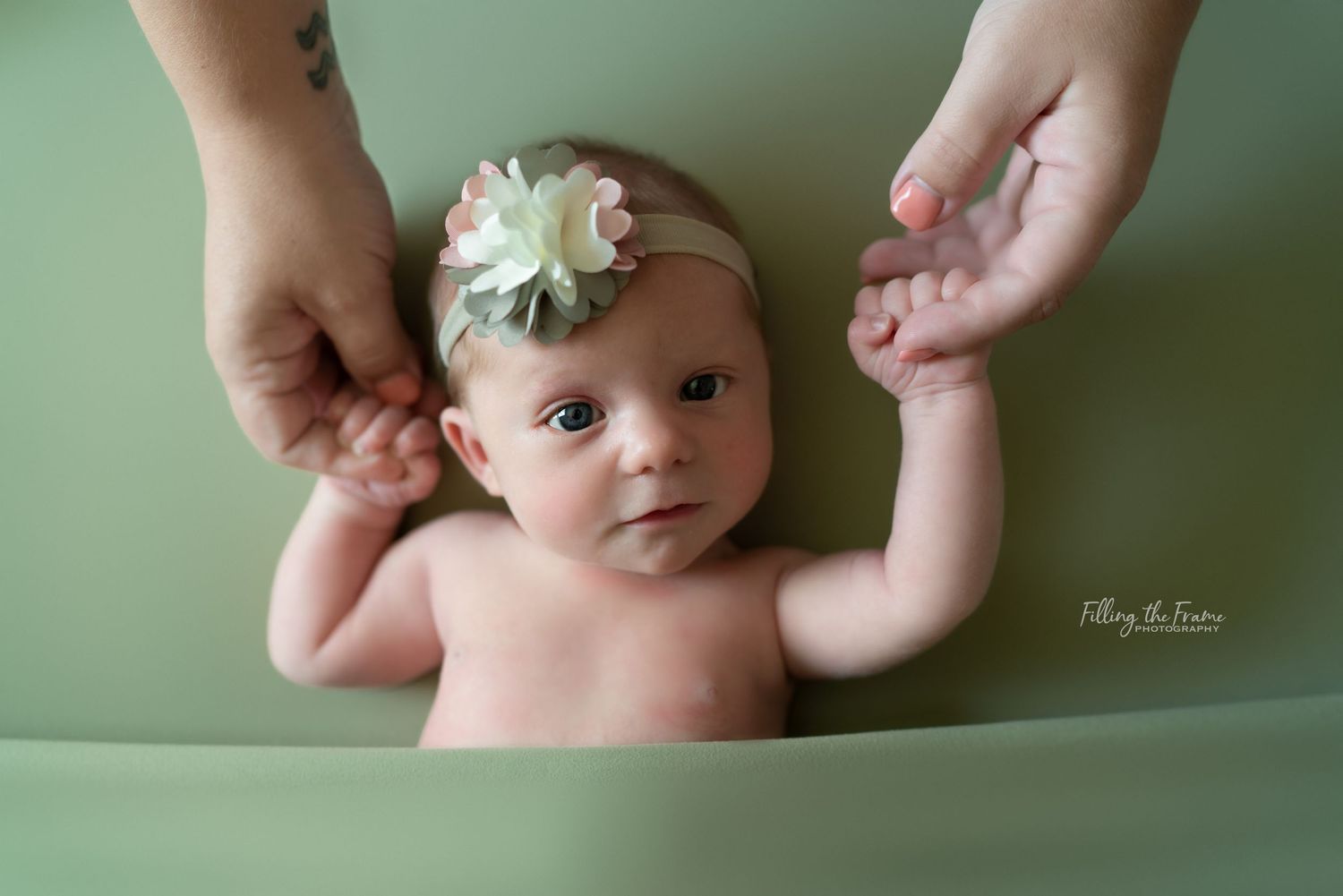 Artistic newborn portrait with delicate floral headpiece against green background.