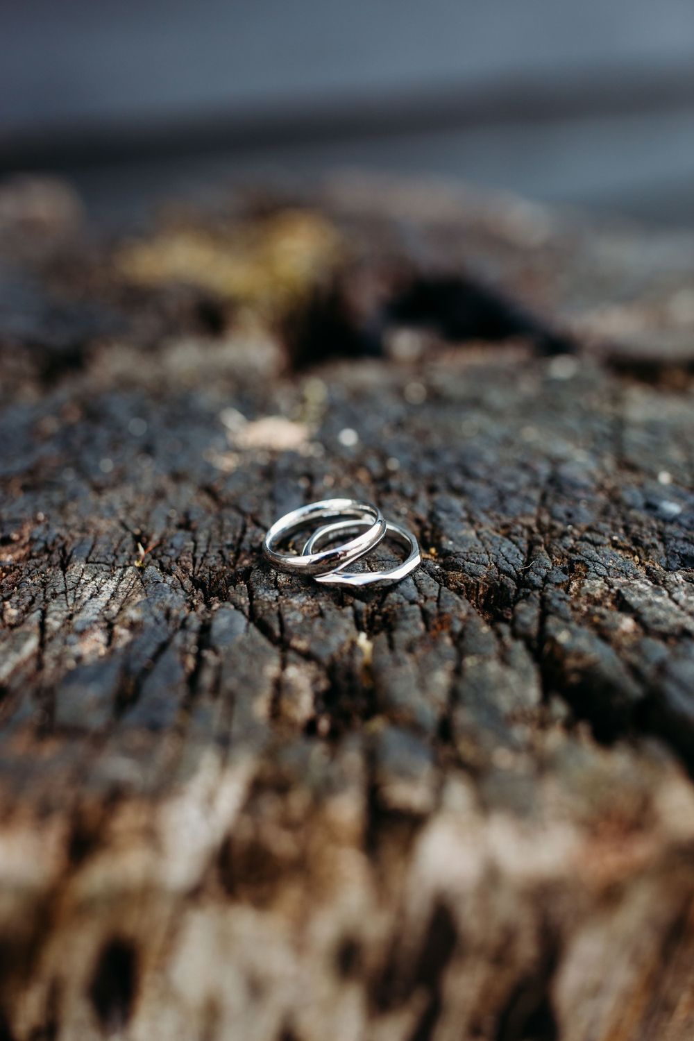 Two wedding rings photographed on weathered wood texture with shallow depth of field.