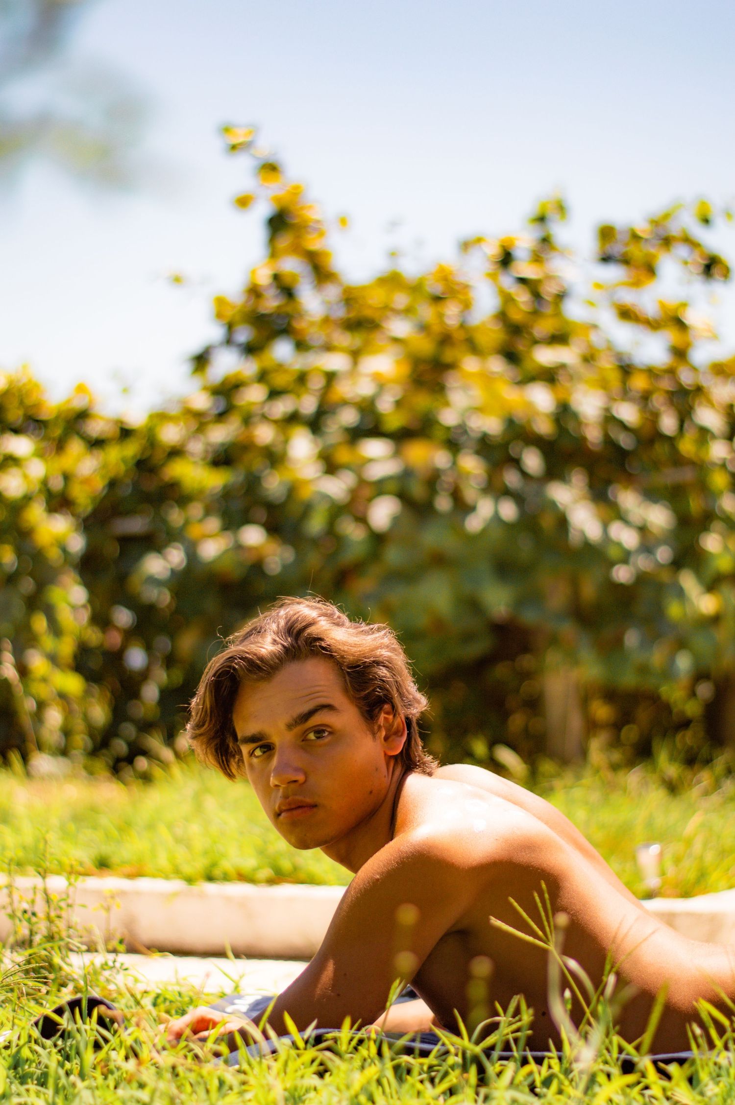 Person relaxing in grassy field with sunlit foliage on a bright summer day.